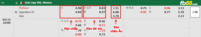 fb88-bảng kèo trận đấu Pachuca vs Queretaro FC