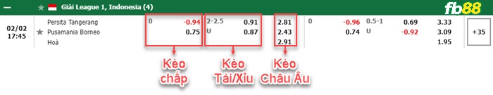 Fb88 bảng kèo trận đấu Persita Tangerang vs Borneo