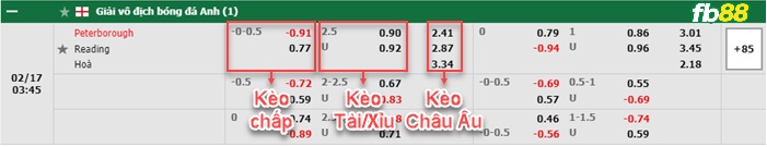 Fb88 bảng kèo trận đấu Peterborough vs Reading