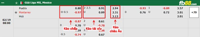 fb88-bảng kèo trận đấu Puebla vs Monterrey