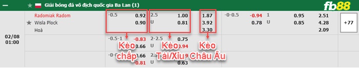 FB88 bảng kèo trận đấu Radomiak vs Wisla Plock