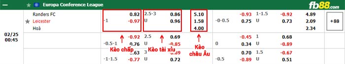 fb88-bảng kèo trận đấu Randers vs Leicester