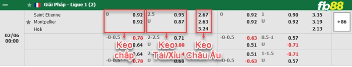 Fb88 bảng kèo trận đấu Saint-Etienne vs Montpellier
