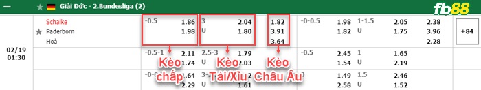 Fb88 bảng kèo trận đấu Schalke vs Paderborn