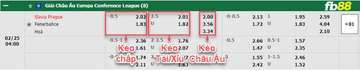Fb88 bảng kèo trận đấu Slavia Praha vs Fenerbahce