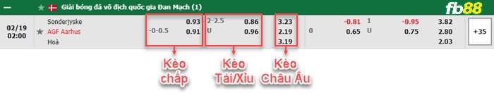 Fb88 bảng kèo trận đấu Sonderjyske vs Aarhus AGF