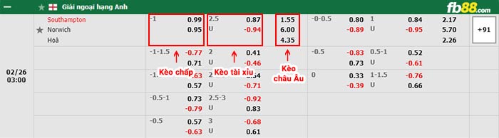 fb88-bảng kèo trận đấu Southampton vs Norwich
