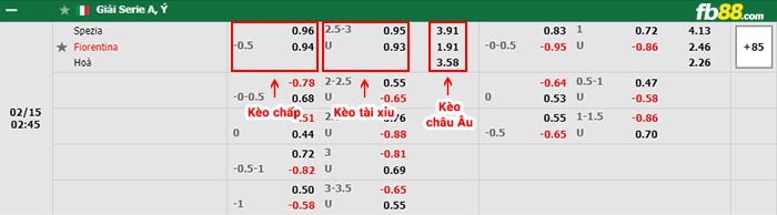 fb88-bảng kèo trận đấu Spezia vs Fiorentina