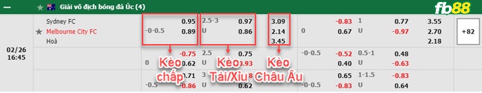 Fb88 bảng kèo trận đấu Sydney FC vs Melbourne City