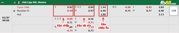 fb88-bảng kèo trận đấu Tigres UANL vs Mazatlan