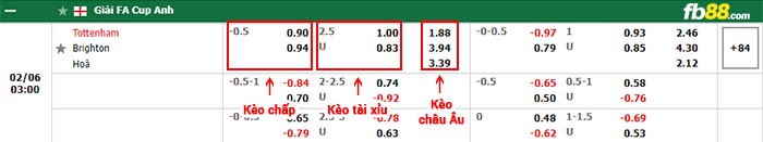 fb88-bảng kèo trận đấu Tottenham vs Brighton