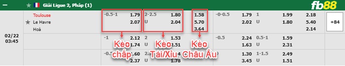 Fb88 bảng kèo trận đấu Toulouse vs Le Havre