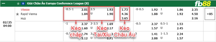 Fb88 bảng kèo trận đấu Vitesse vs Rapid Wien
