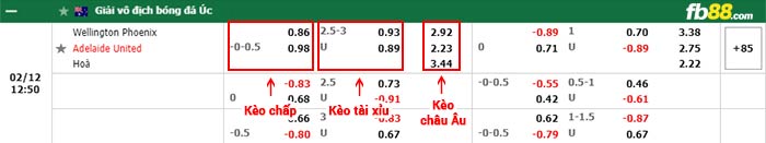 fb88-bảng kèo trận đấu Wellington Phoenix vs Adelaide