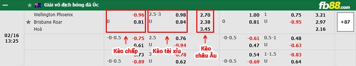 fb88-bảng kèo trận đấu Wellington Phoenix vs Brisbane Roar