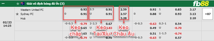 Fb88 bảng kèo trận đấu Western United vs Sydney FC