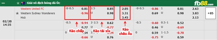 fb88-bảng kèo trận đấu Western United vs Western Sydney