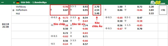 fb88-bảng kèo trận đấu Wolfsburg vs Hoffenheim