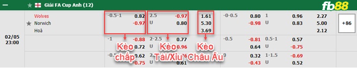 Fb88 bảng kèo trận đấu Wolves vs Norwich