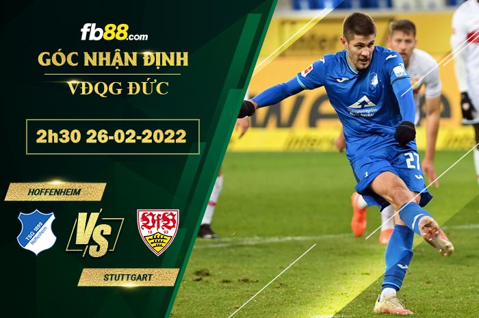Fb88 soi kèo trận đấu Hoffenheim vs Stuttgart