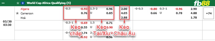 Fb88 bảng kèo trận đấu Algeria vs Cameroon