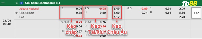 Fb88 bảng kèo trận đấu Atletico Nacional vs Olimpia Asuncion