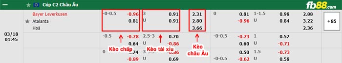 fb88-bảng kèo trận đấu Bayer Leverkusen vs Atalanta