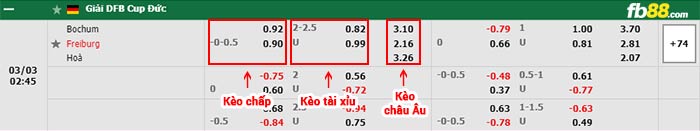 fb88-bảng kèo trận đấu Bochum vs Freiburg