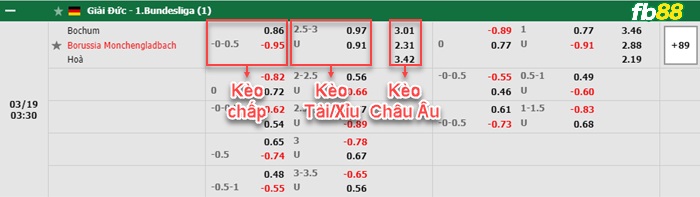 Fb88 bảng kèo trận đấu Bochum vs Monchengladbach