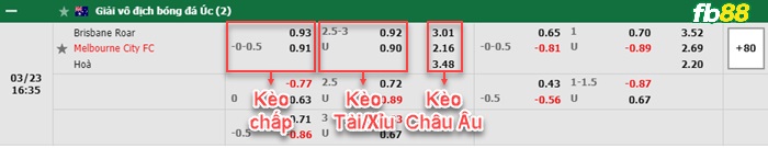 Fb88 bảng kèo trận đấu Brisbane Roar vs Melbourne City