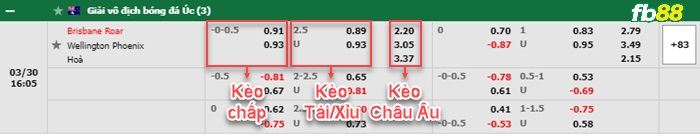 Fb88 bảng kèo trận đấu Brisbane Roar vs Wellington Phoenix