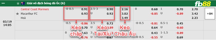 Fb88 bảng kèo trận đấu Central Coast vs Macarthur FC