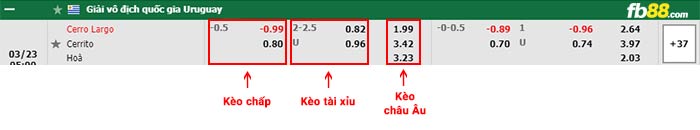 fb88-bảng kèo trận đấu Cerro Largo vs Cerrito
