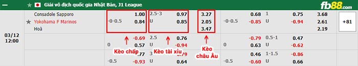 fb88-bảng kèo trận đấu Consadole Sapporo vs Yokohama Marinos