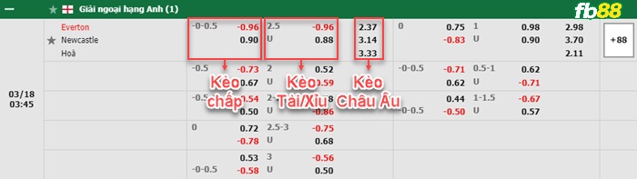 Fb88 bảng kèo trận đấu Everton vs Newcastle