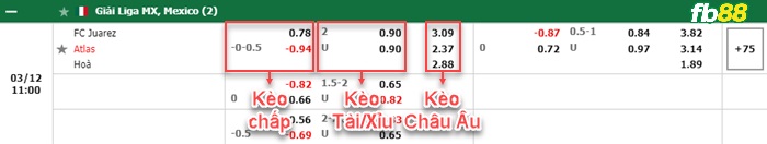 Fb88 bảng kèo trận đấu FC Juarez vs Atlas