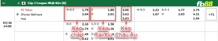Fb88 bảng kèo trận đấu FC Tokyo vs Shonan Bellmare