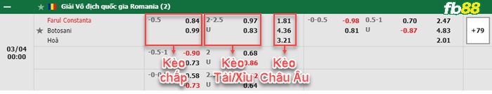 Fb88 bảng kèo trận đấu Farul Constanta vs FC Botosani