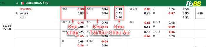 Fb88 bảng kèo trận đấu Fiorentina vs Hellas Vero
