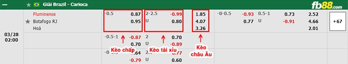 fb88-bảng kèo trận đấu Fluminense vs Botafogo