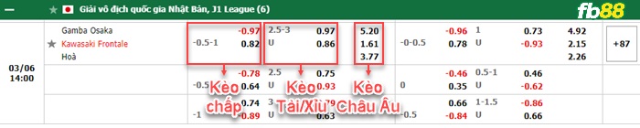 Fb88 tỷ lệ kèo trận đấu Yokohama F Marinos vs Shimizu S-Pulse