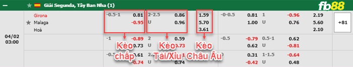 Fb88 bảng kèo trận đấu Girona vs Malaga