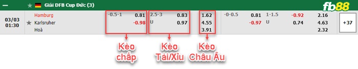 Fb88 bảng kèo trận đấu Hamburger vs Karlsruher
