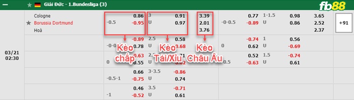 Fb88 bảng kèo trận đấu Koln vs Dortmund