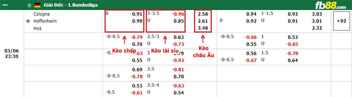 fb88-bảng kèo trận đấu Koln vs Hoffenheim