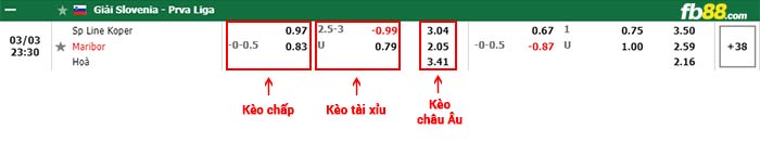 fb88-bảng kèo trận đấu Koper vs Maribor