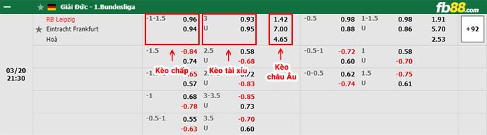 fb88-bảng kèo trận đấu Leipzig vs Eintracht Frankfurt