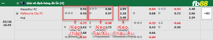 Fb88 bảng kèo trận đấu Macarthur vs Melbourne City