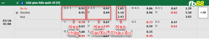 Fb88 bảng kèo trận đấu Na Uy vs Slovakia