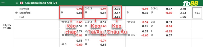 Fb88 bảng kèo trận đấu Norwich vs Brentford